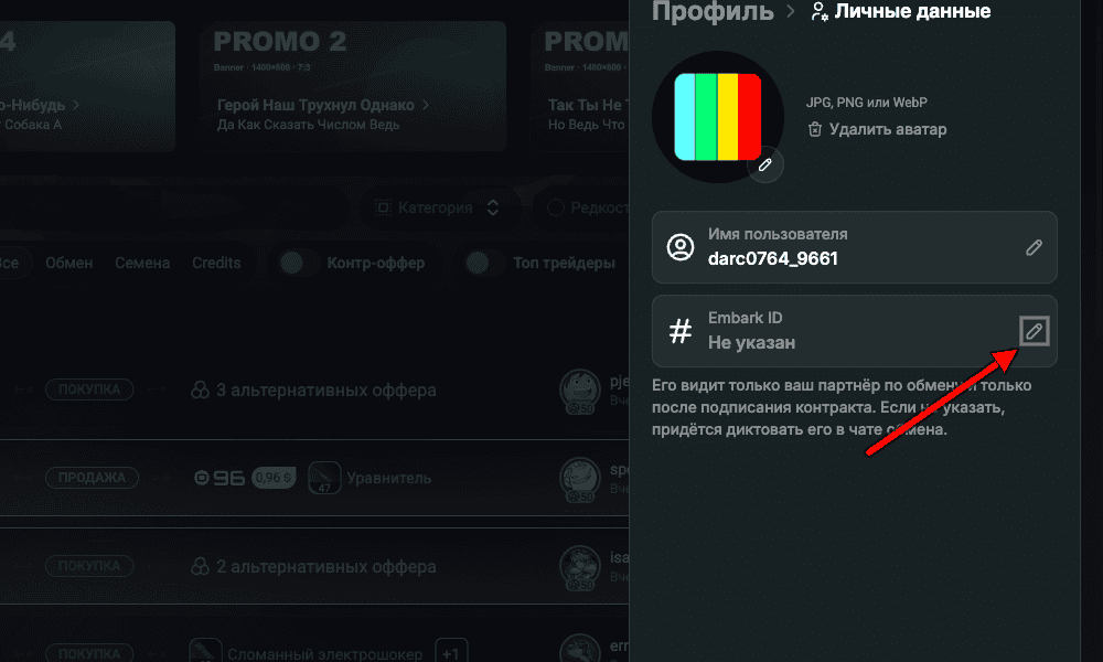 The "Personal Information" section in the profile panel with the pencil icon in the "Embark ID" block circled