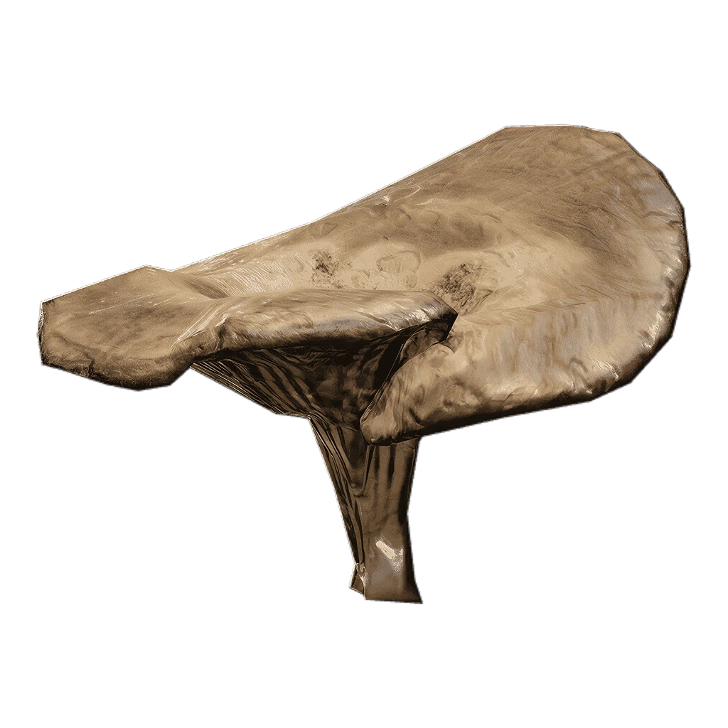 Mushroom