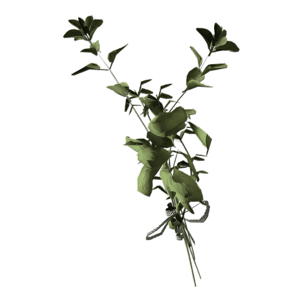Great Mullein