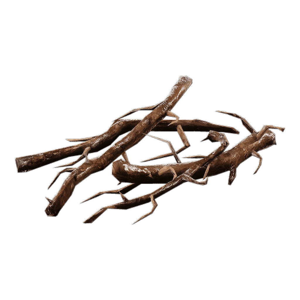 Roots