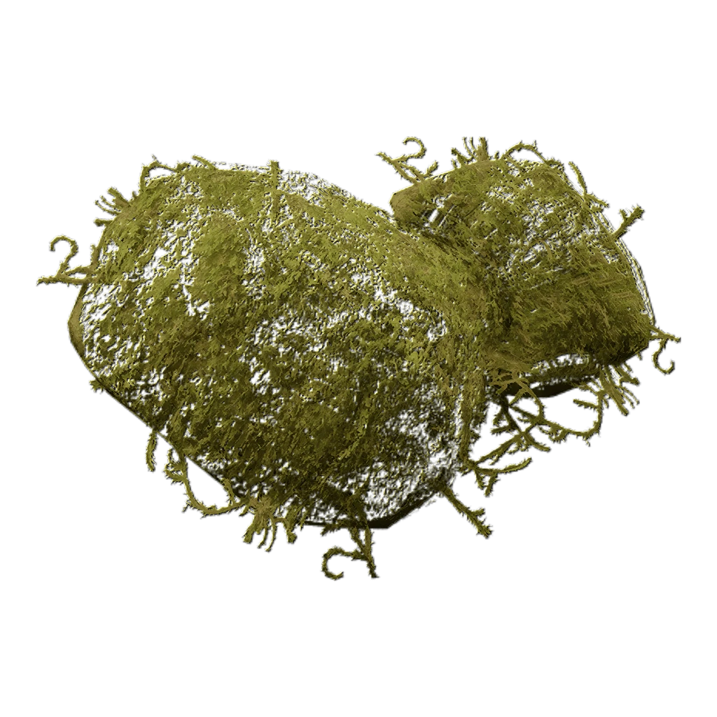Moss