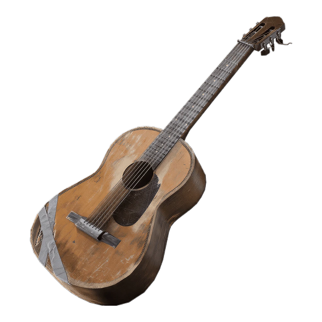 Acoustic Guitar