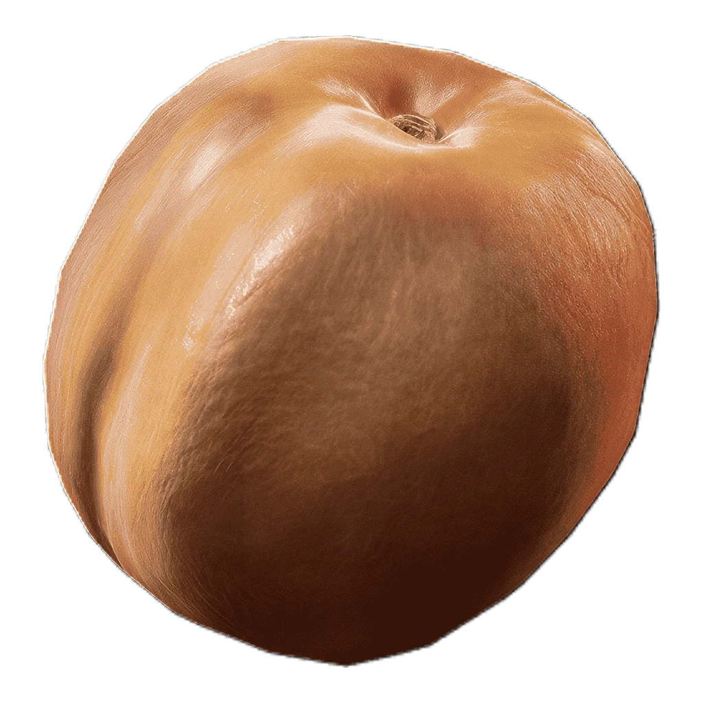 Apricot