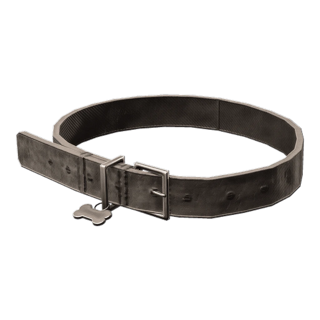 Dog Collar