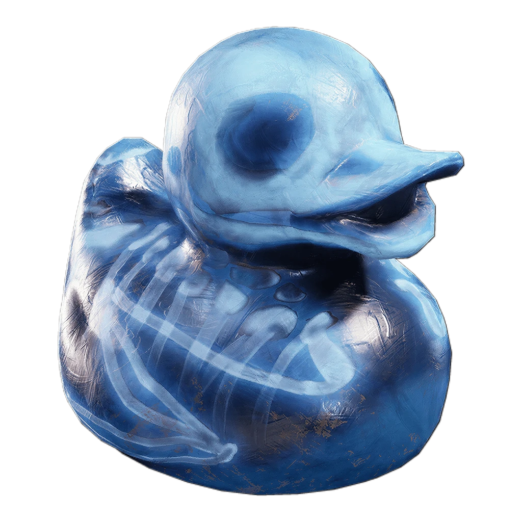 MRI Duck