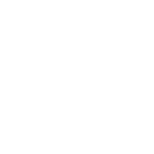 Icon Shield II