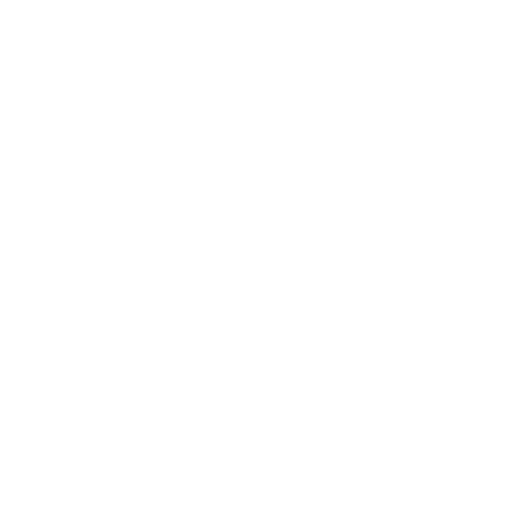 Icon Augment