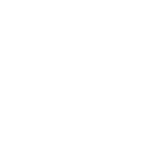 Icon Shield I